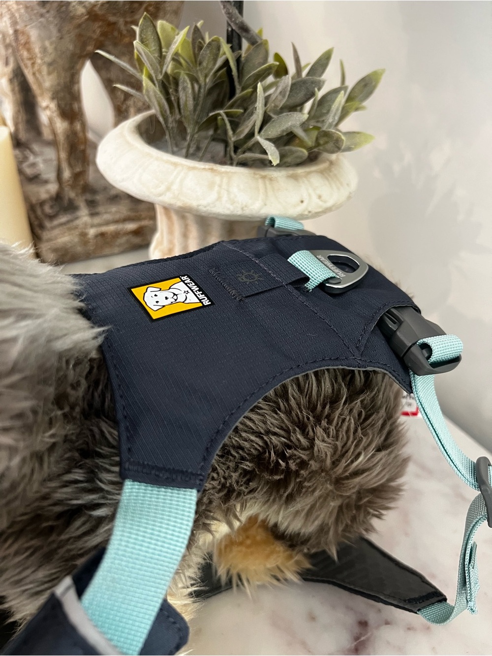Ruffwear Front Range Dog Harness Small Blue Gray Adjustable Outdoor Hiking $48 - Picture 3 of 11